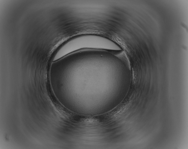 X0000091180348200709060958