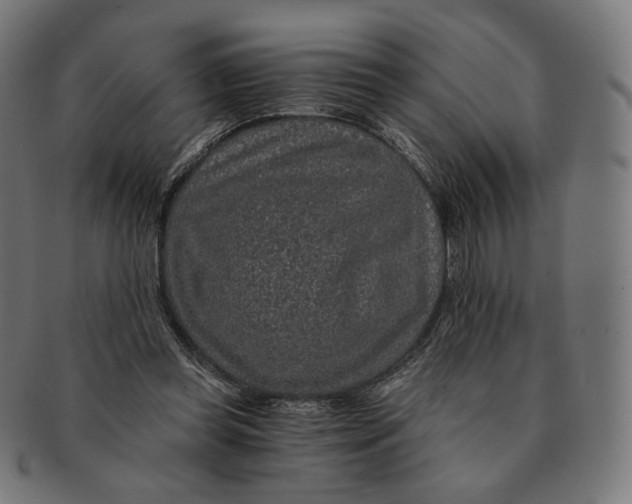 X0000091180349200709060958