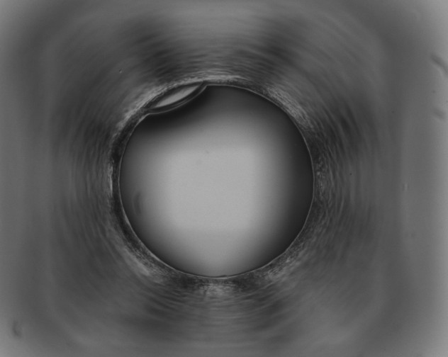 X0000091180350200709060958