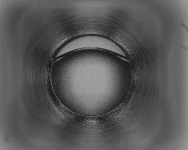 X0000091180352200709060958