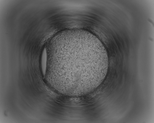 X0000091180353200709060958