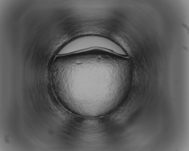 X0000091180354200709060958