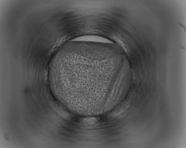 X0000091180357200709060958