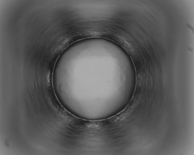 X0000091180358200709060958