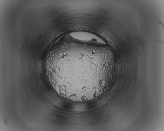 X0000091180359200709060958