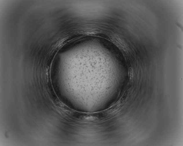 X0000091180360200709060958