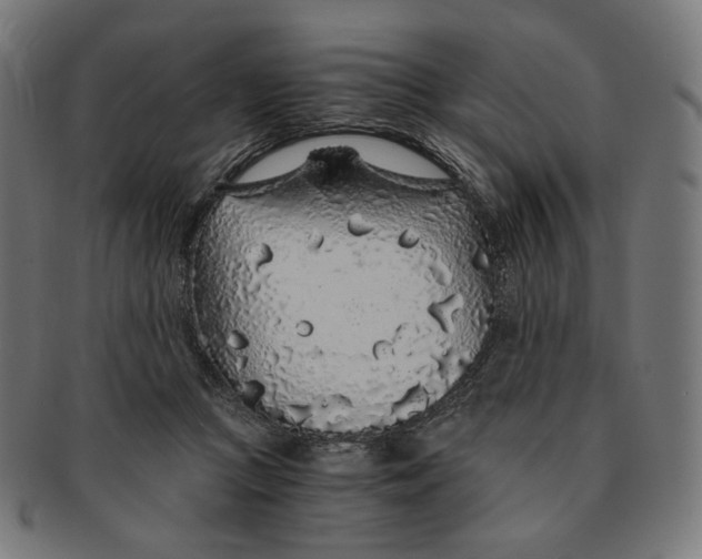 X0000091180361200709060958