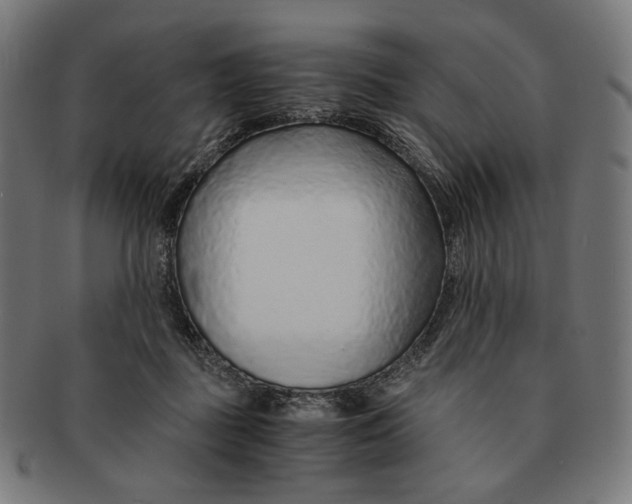 X0000091180363200709060958