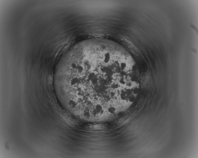 X0000091180365200709060958