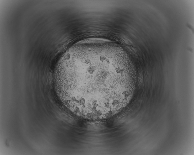 X0000091180367200709060958