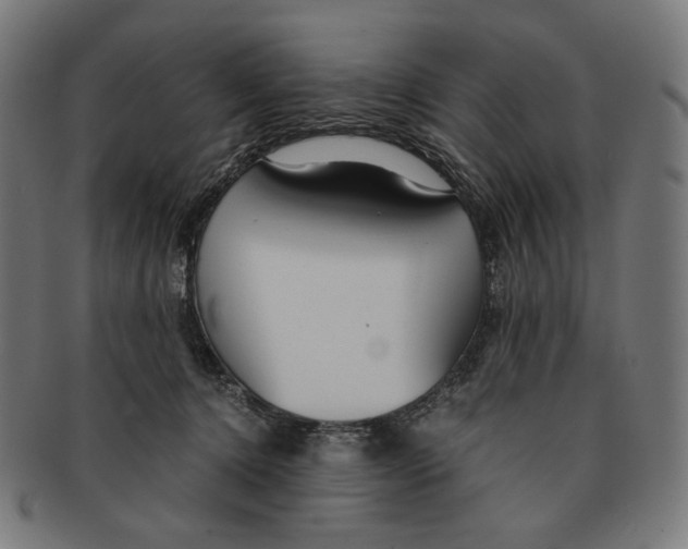 X0000091180368200709060958