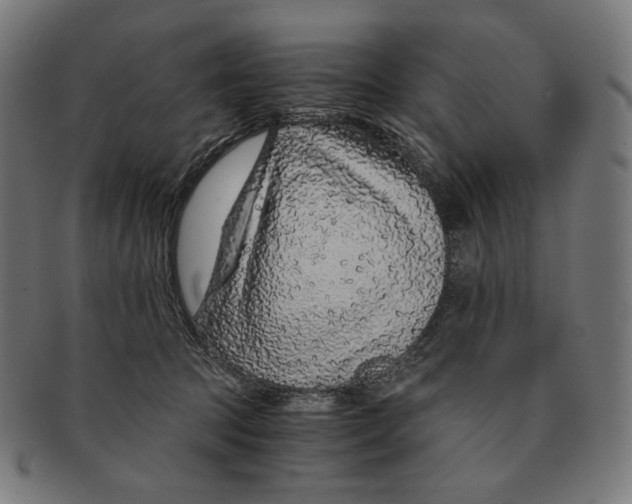 X0000091180369200709060959