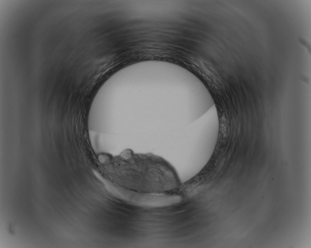 X0000091180371200709060959