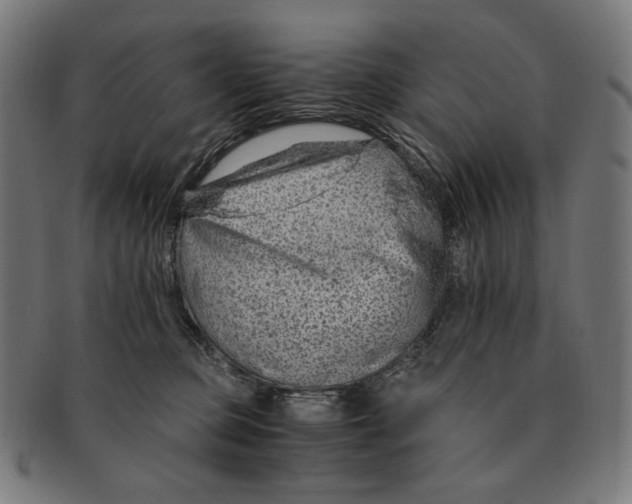 X0000091180373200709060959