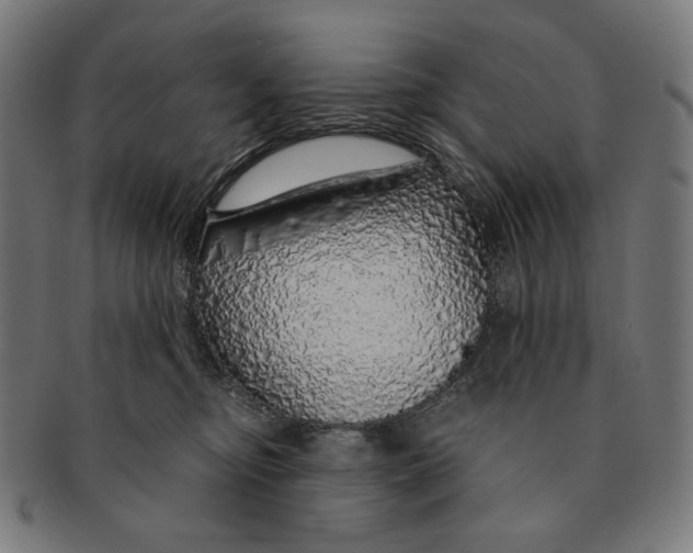 X0000091180374200709060959