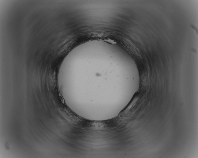 X0000091180376200709060959