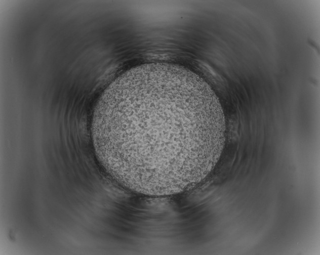 X0000091180377200709060959