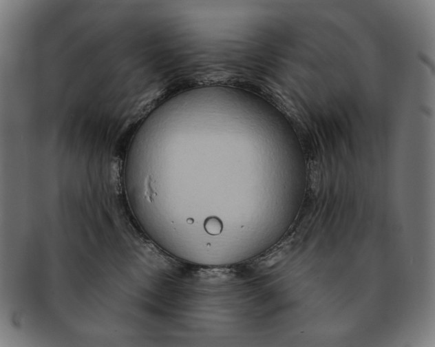 X0000091180378200709060959