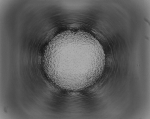X0000091180379200709060959