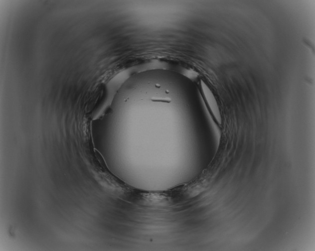 X0000091180380200709060959