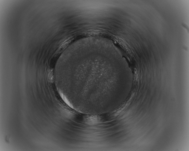 X0000091180383200709060959