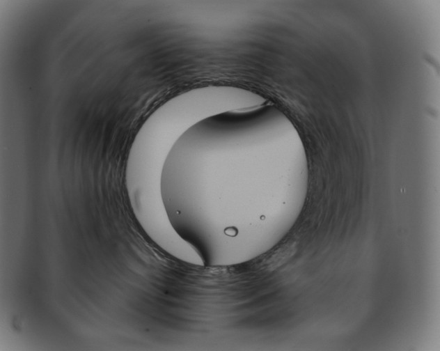 X0000091180384200709060959