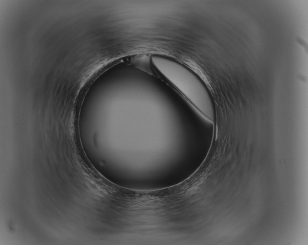 X0000091180387200709060958