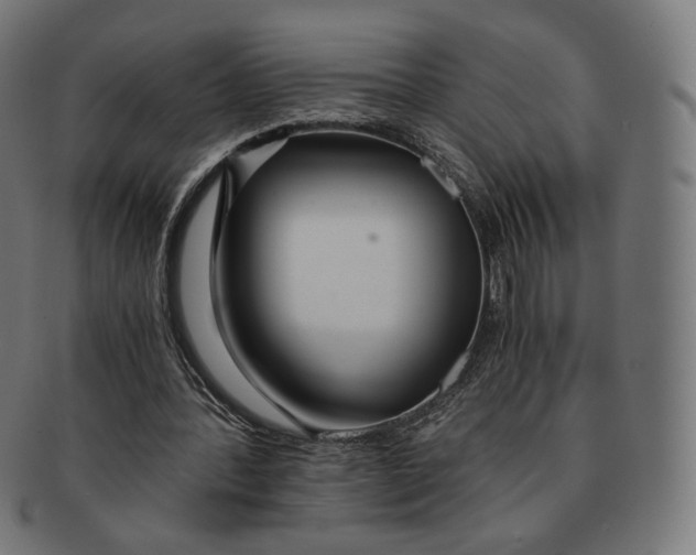X0000091180388200709060958