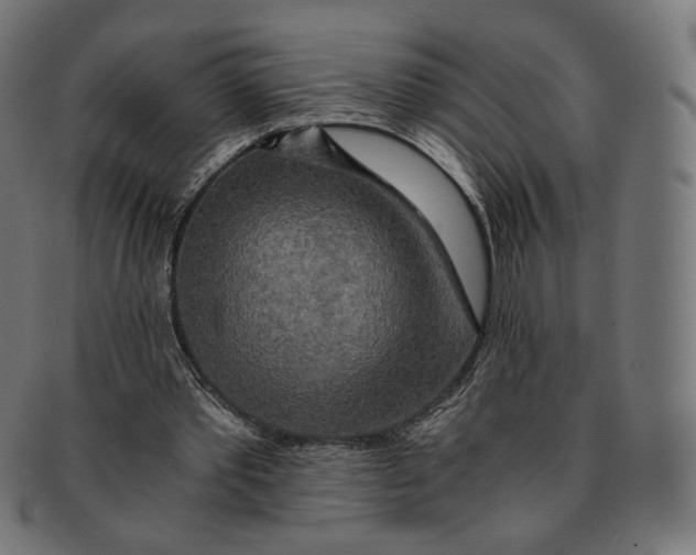 X0000091180389200709060958