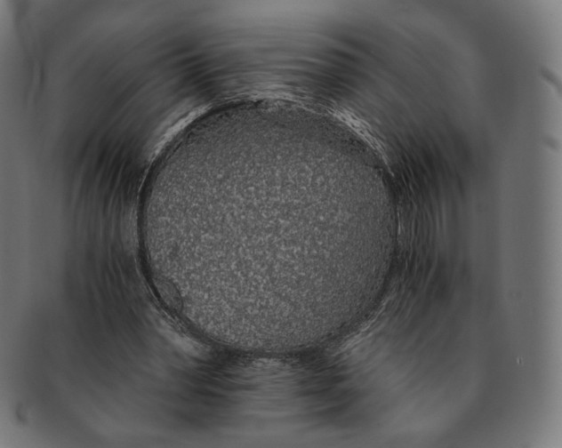 X0000091180390200709060958