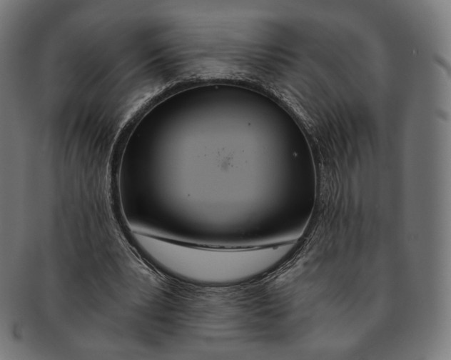 X0000091180391200709060958