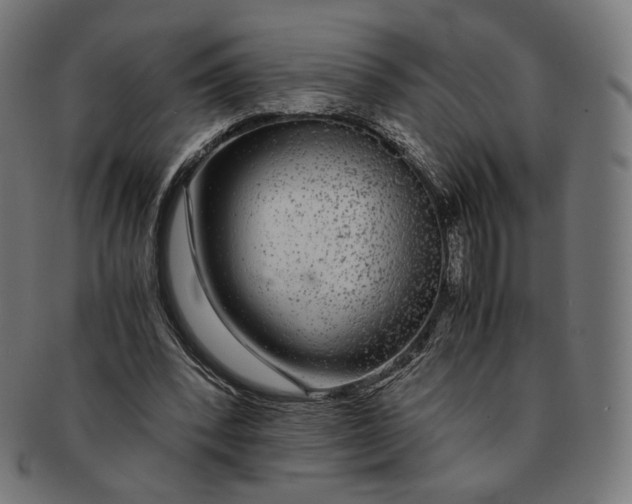 X0000091180392200709060958