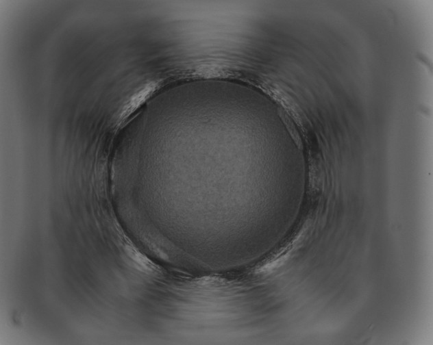 X0000091180393200709060958