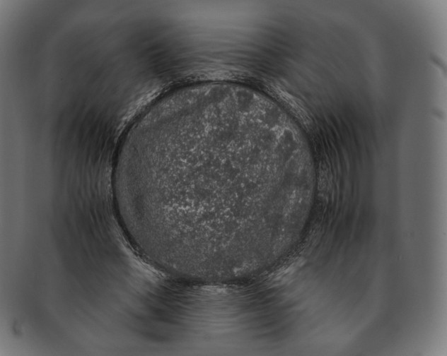 X0000091180394200709060958