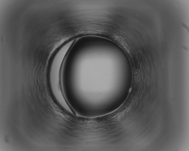 X0000091180395200709060958