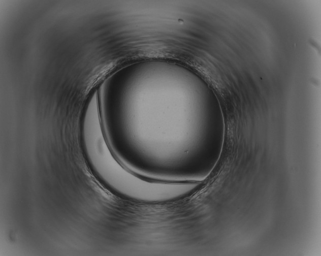 X0000091180397200709060958