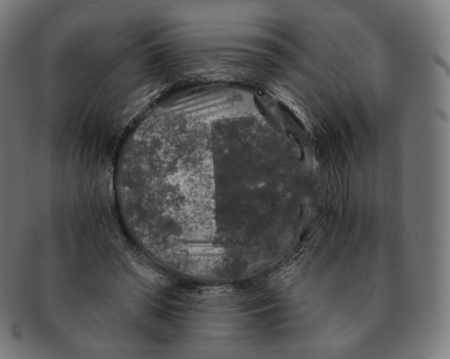 X0000091180398200709060958
