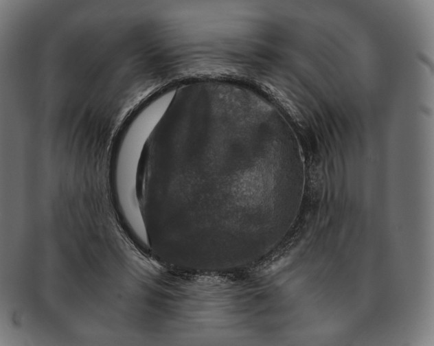 X0000091180399200709060958