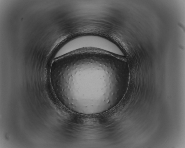 X0000091180400200709060958