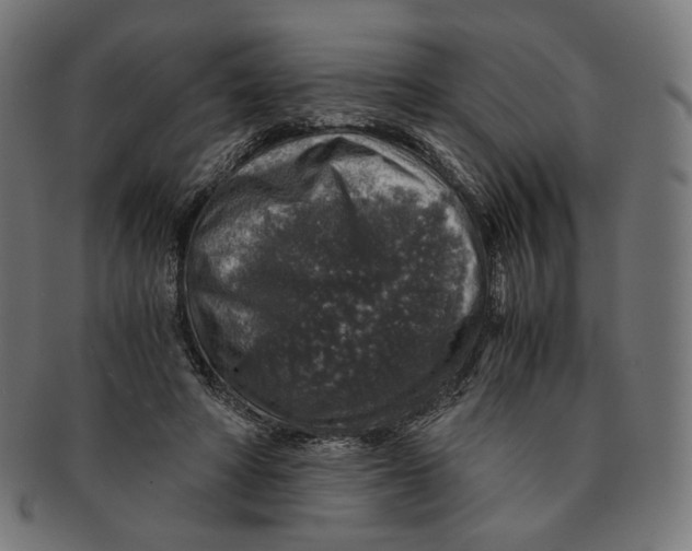 X0000091180402200709060958