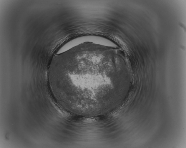 X0000091180405200709060958