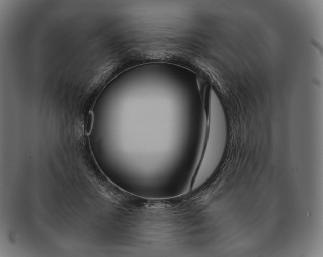 X0000091180407200709060958
