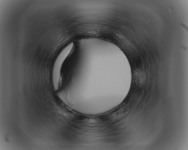 X0000091180412200709060958
