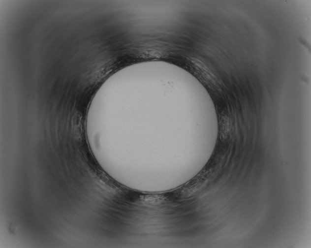 X0000091180414200709060958