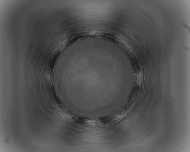 X0000091180415200709060958
