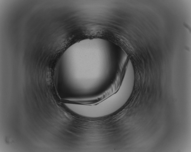 X0000091180416200709060958