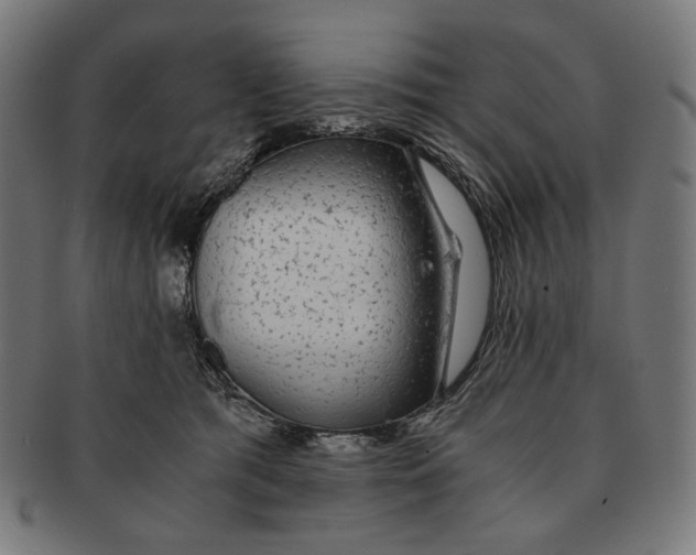 X0000091180417200709060958