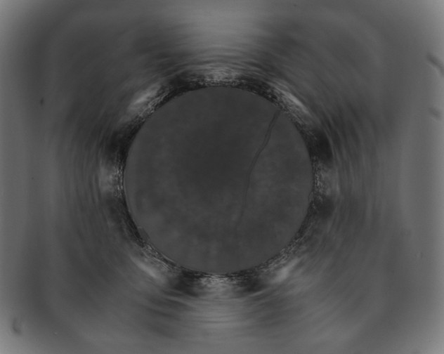 X0000091180419200709060958