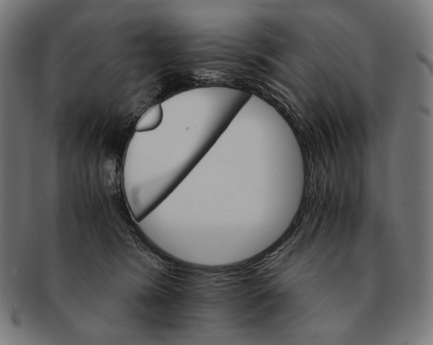 X0000091180420200709060958