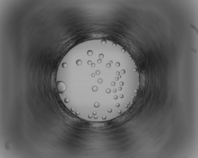X0000091180422200709060958